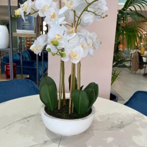 Pianta composizione fiori e vaso