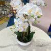 Pianta composizione fiori e vaso immagine
