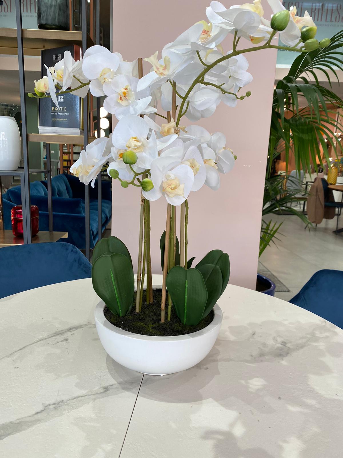 Pianta composizione fiori e vaso, Shop online