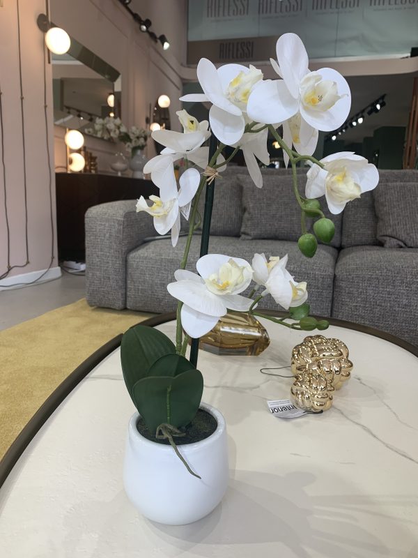 Orchidea vaso bianco lucido giochi di spazio