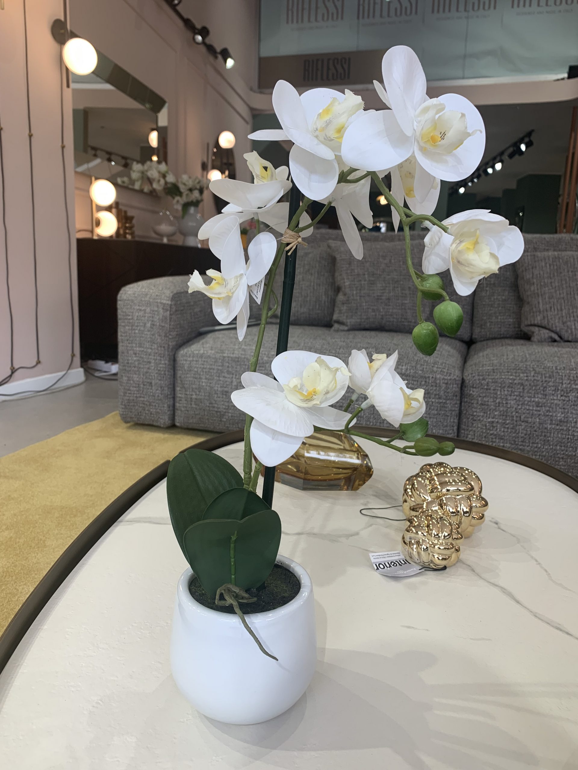 Orchidea vaso bianco lucido