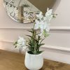 Orchidea vaso ceramica effetto cemento giochidispazio
