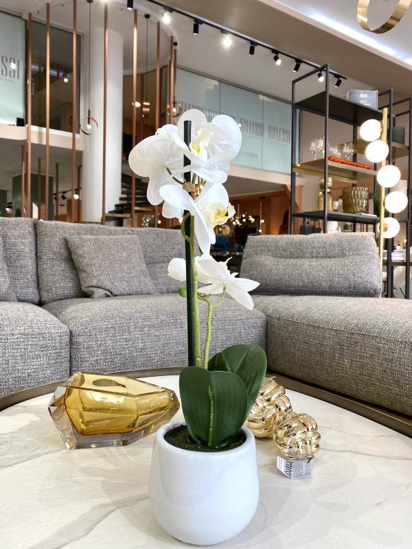 Orchidea vaso bianco lucido giochi di spazio